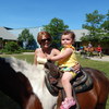 Little girl on a big horse!