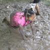 Crawling in the mud!